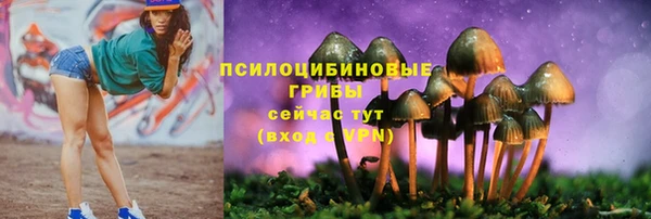 гашик Покачи