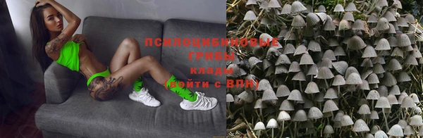 Альфа ПВП Покровск