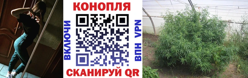 МАРИХУАНА конопля  Купить закладки  Ставрополь 